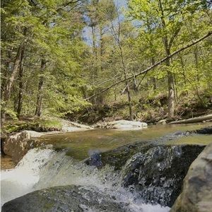 Meet your Posher, Brandy